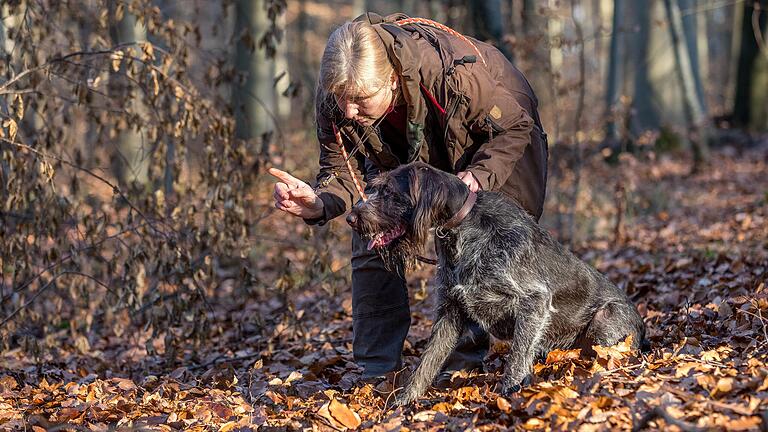 Die Jägerin Kerstin Mauckner-Kühnel und ihr Jagdhund Lenz vom Kellerwald beim Spaziergang in Mauckner-Kühnels Pirschbezirk in Kist. Die Jägerin Kerstin Mauckner-Kühnel und ihr Jagdhund Lenz vom Kellerwald beim Spaziergang in Mauckner-Kühnels Pirschbezirk in Kist. 