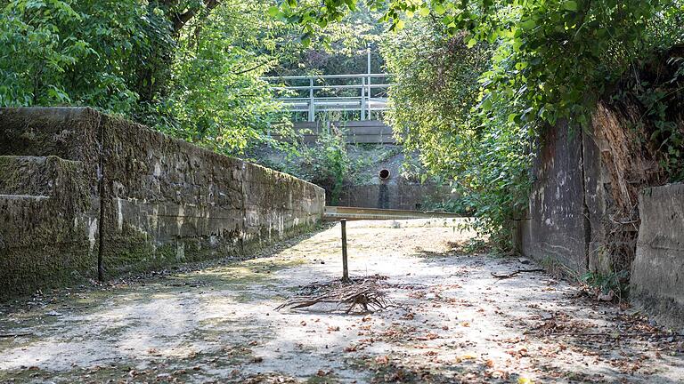 Die Pleichach führte im Sommer 2020 wenig Wasser. Unser Archivbild zeigt die sogenannte Wasserrutsche bei der ehemaligen Schäfermühle an der Gemarkungsgrenze Rimpars.