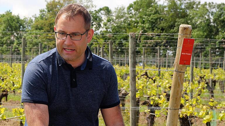 Leidenschaftlicher Gästeführer und Weinkenner: Thilo Gutermuth hat immer viel zu erzählen.