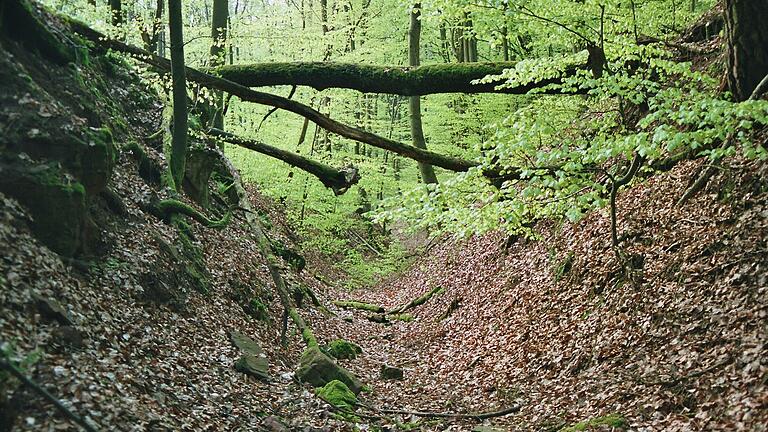Noch heute erinnern Hohlwege am Zollberg oberhalb von Langenprozelten an die Mainfurt. Noch heute erinnern Hohlwege am Zollberg oberhalb von Langenprozelten an die Mainfurt.