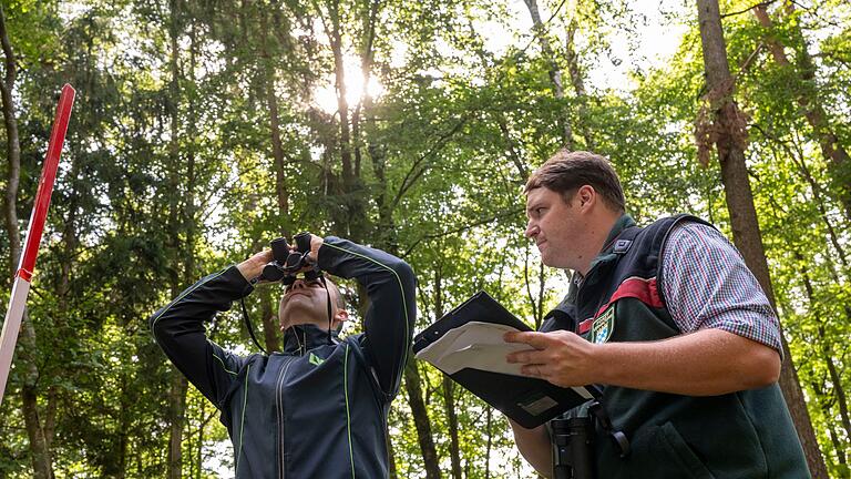 Waldzustandsbericht       -  Die Landesinventurleiter für die Waldzustandserhebung, Michael Heym (l) und Wolfgang Stöger (r), schauen Bäume an.