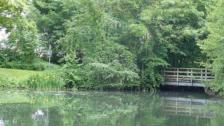 Die Brücke führt über den Altmainarm weiter zum Beginn des Baumlehrpfades. Auf engstem Raum findet man hier 60 Baumarten.