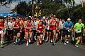 Bei bestem Laufwetter nahmen die Teilnehmenden die 7,5 Kilometer lange Strecke beim Großlangheimer Krackenlauf in Angriff.