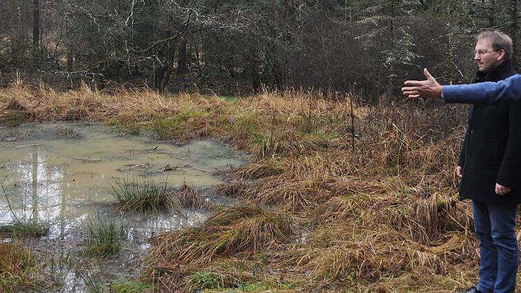 An einem Biotop auf einer ehemaligen Waldwiese in der Waldabteilung Schöpfensee bei Eckartshausen erläutert Förster Wolfgang Meiners (rechts) am 18. Dezember Bürgermeister Wolfram Thein (Markt Maroldsweisach) die Vernetzung mit dem Grünen Band, das im Hintergrund zu sehen ist. An einem Biotop auf einer ehemaligen Waldwiese in der Waldabteilung Schöpfensee bei Eckartshausen erläutert Förster Wolfgang Meiners (rechts) am 18. Dezember Bürgermeister Wolfram Thein (Markt Maroldsweisach) die Vernetzung mit dem Grünen Band, das im Hintergrund zu sehen ist.