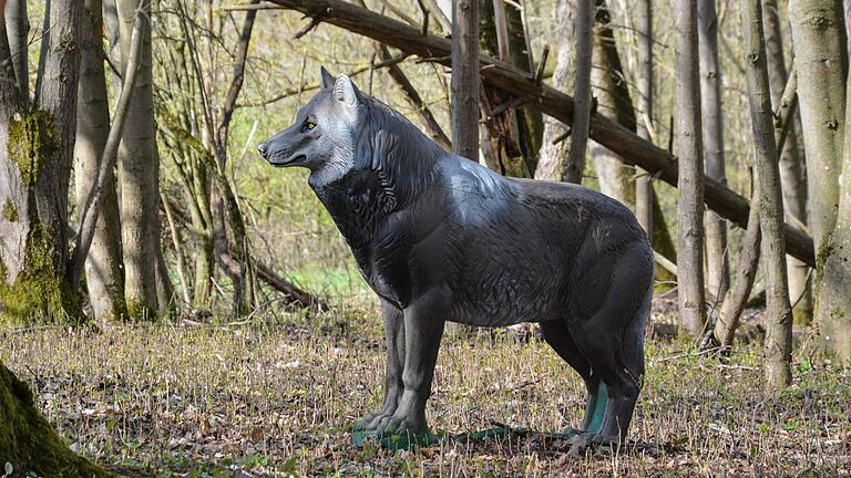 Ein Wolf im Mellrichstädter Kirschgarten - aber ein ganz zahmer, denn er ist aus Spezialschaum. Ein Wolf im Mellrichstädter Kirschgarten - aber ein ganz zahmer, denn er ist aus Spezialschaum.