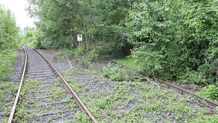 Die Trasse der 'Steigerwaldbahn' ist verkauft. Eine Reaktivierung ist rechtlich trotzdem noch möglich.