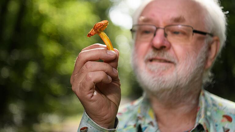 Pilzexperte Rudi Markones zeigt die Vielfalt der heimischen Pilze im Irtenberger Forst bei Kist im Landkreis Würzburg. Allein in Unterfranken sind 3000 Arten bekannt. In der Hand hält der Pilzexperte einen Saftling.