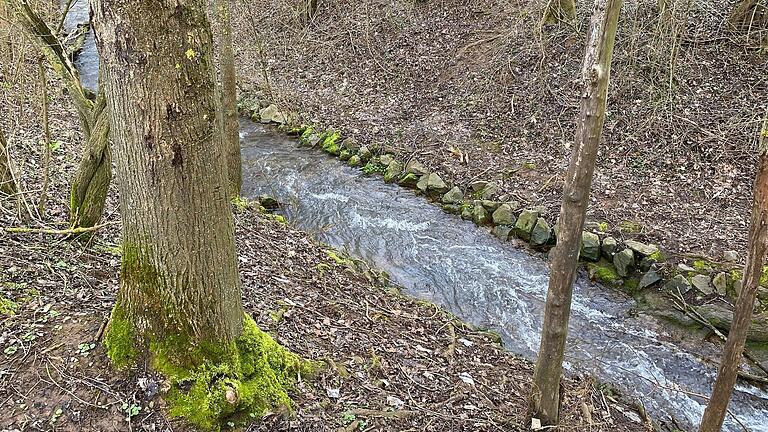 Der Erlenbach bei Marktheidenfeld soll auf einem Teilstück unterhalb des Südrings verlegt werden und ein natürliches Bachbett bekommen.