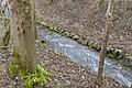 Der Erlenbach bei Marktheidenfeld soll auf einem Teilstück unterhalb des Südrings verlegt werden und ein natürliches Bachbett bekommen.