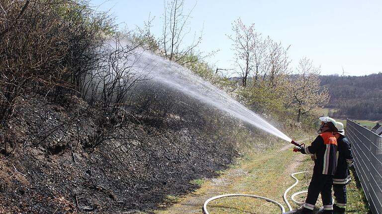 Eine brennende Hecke sorgte am Freitagmittag für einen Feuerwehreinsatz von vier Wehren.