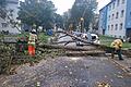 Ex-Hurrikan 'Kirk' trifft Deutschland       -  In Bamberg musste die Feuerwehr einen auf ein Auto gestürzten Baum von der Straße räumen.