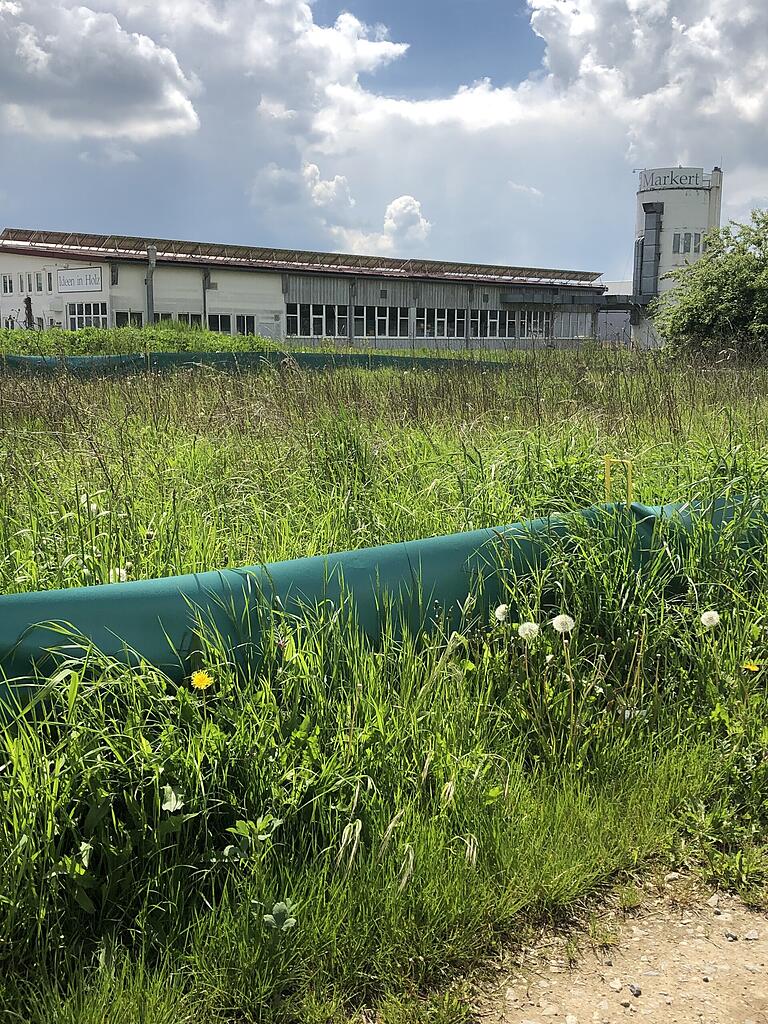 An der südlichen Grenze des Norma-Areals, unweit der Schreinerei Markert, wird das neue Eidechsen-Habitat entstehen.