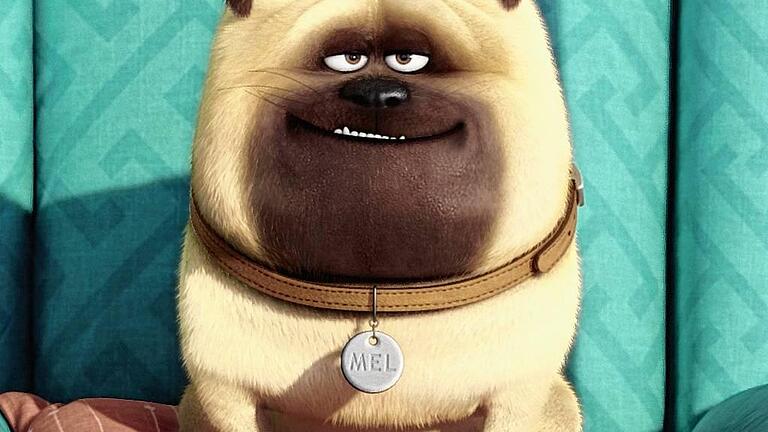 Ein Pet Ein Pet
