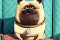Ein Pet