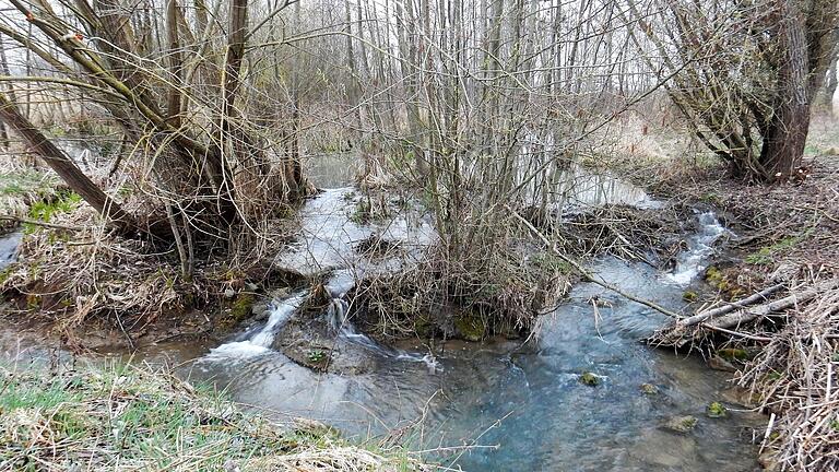 Wandern an Bächen ist im Landkreis allenthalben geboten. Im Bild der Euerbach. Wandern an Bächen ist im Landkreis allenthalben geboten. Im Bild der Euerbach.