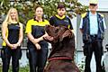 Mit Respekt beobachten die Postboten bei einer Schulung in Würzburg das Verhalten des Labradors.