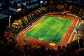 Saftig grün ist das Spielfeld im Sachs-Stadion in Schweinfurt.&nbsp;
