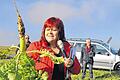 Nützlicher Geselle: Wasserberaterin Eva Heilmeier präsentiert einen Tillage Radish. Er bildet eine sehr dicke und lange Pfahlwurzel aus, die Bodenverdichtungen aufbricht.Foto: W. Wolf