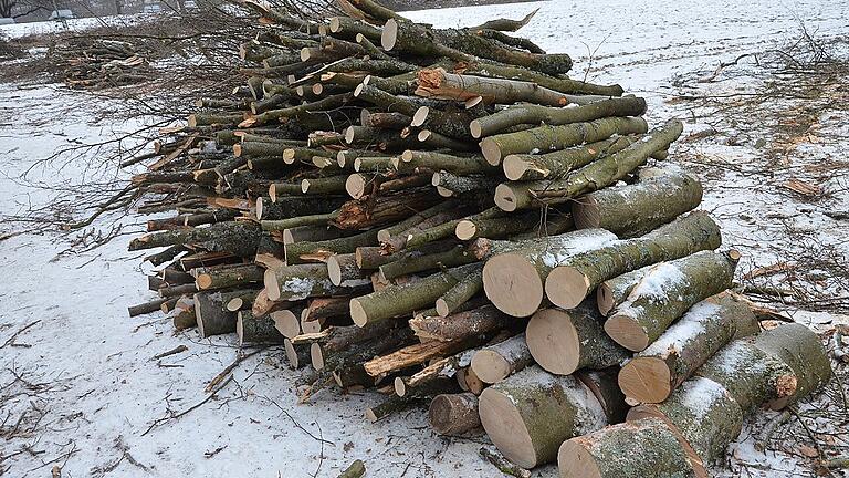 Gewaltige Veränderungen kommen auf die Waldbesitzer in Baden-Württemberg zu. Wie dies genau aussieht,stellte Forstamtsdirektorin Dagmar Wulfes dem Wittighäuser Gemeinderat vor. Gewaltige Veränderungen kommen auf die Waldbesitzer in Baden-Württemberg zu. Wie dies genau aussieht,stellte Forstamtsdirektorin Dagmar Wulfes dem Wittighäuser Gemeinderat vor.