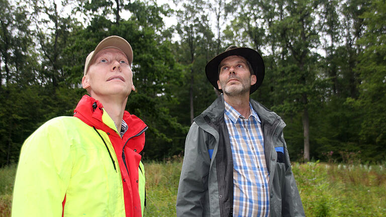 Eher deprimierend ist der nach oben im „Eichholz“ bei Bischwind auf die letzten Eschen gerichtete Blick von Forstdirektor Stephan Thierfelder (rechts) und Förster Jochen Schenk. Das Eschentriebsterben hatte hier Im Winter 2017/2018 so zugeschlagen, dass eine größere Fläche komplett eingeschlagen werden musste.