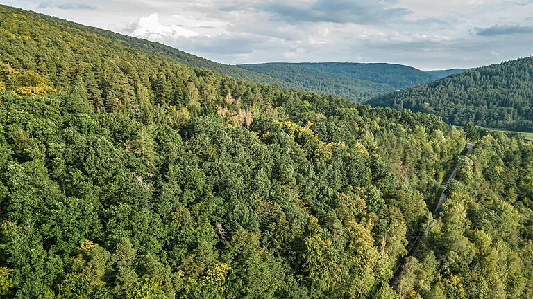 Der Hotel- und Gaststättenverband lud zu einer Veranstaltung zur Biosphärenregion Spessart. Knackpunkt bleibt weiterhin die nötige Kernzone. Im Bild zu sehen der Spessart bei Rieneck.