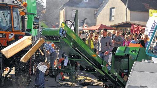 Arbeitserleichterung: In Sekunden können Maschinen aus Stämmen Holzscheite machen. Arbeitserleichterung: In Sekunden können Maschinen aus Stämmen Holzscheite machen.