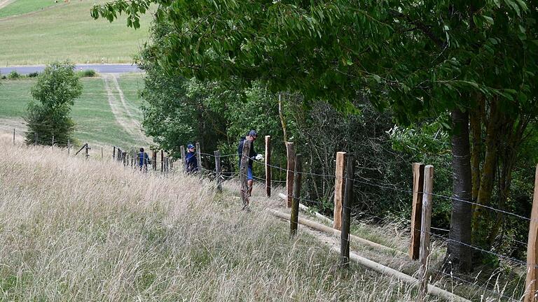 Auf einem Streckenabschnitt von rund 250 Metern im Bereich Lothar-Mai-Haus haben die zehn Mitarbeitenden morsch gewordene Geländer abgerissen und neu gebaut, Treppenstufen erneuert und den Weg stellenweise breiter gelegt.