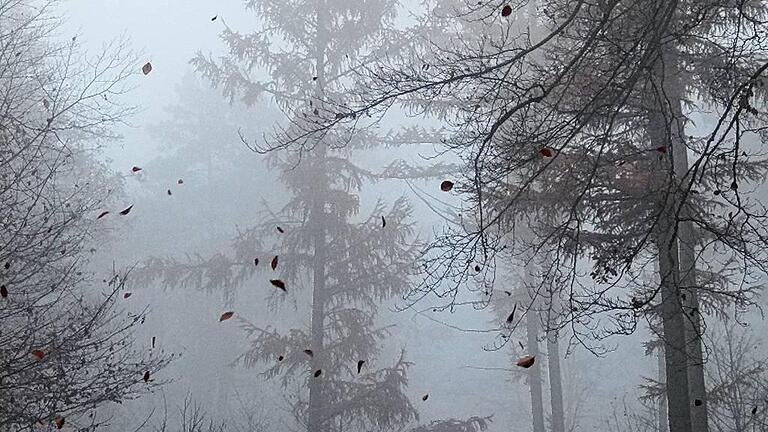 Mystische Stimmung auf dem Schwanberg.