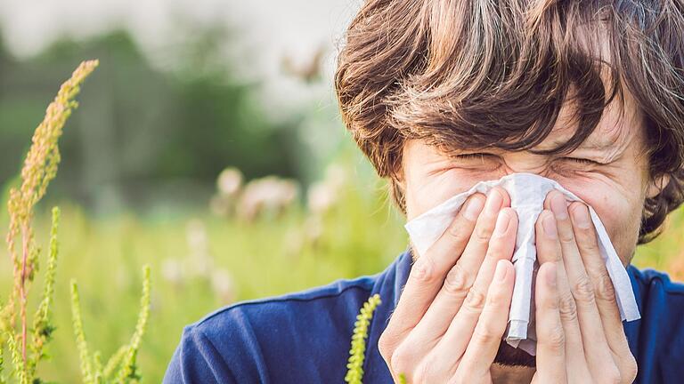 Für Allergiker bricht derzeit wieder eine unliebsame Jahreszeit an.       -  Für Allergiker bricht derzeit wieder eine unliebsame Jahreszeit an.