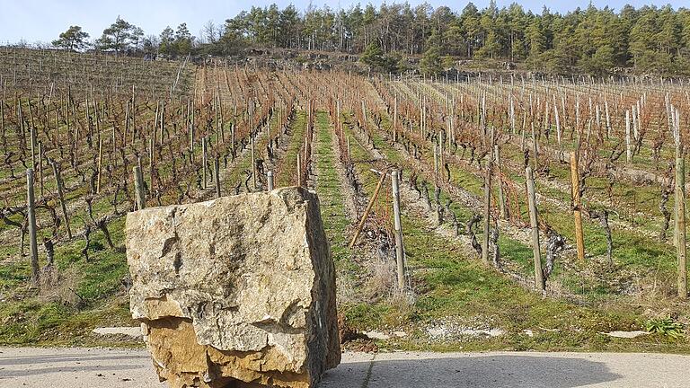 Bei einem spektakulären Felsabsturz am Samstag in Thüngersheim hatten sich mehrere Muschelkalk-Quader aus dem offenen Fels am Moosberg in Richtung Steigstraße gelöst.  Der größte, etwa 1,20 Meter große Felsbrocken, war über zwei Weinbergsterrassen talwärts gerollt.