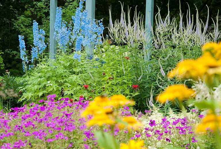 So wünschen es sich nicht nur die Kitzinger Grünen: Blühender Staudengarten im Sommer. So wünschen es sich nicht nur die Kitzinger Grünen: Blühender Staudengarten im Sommer.