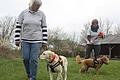 Gerty Fischer (links) aus Michelau mit ihrem Hund 'Luis' und Sabine Maier aus Gerolzhofen mit ihrem Hund 'Lucky' sind als Therapiehunde-Teams in Altenpflegeeinrichtungen in Gerolzhofen im Einsatz.