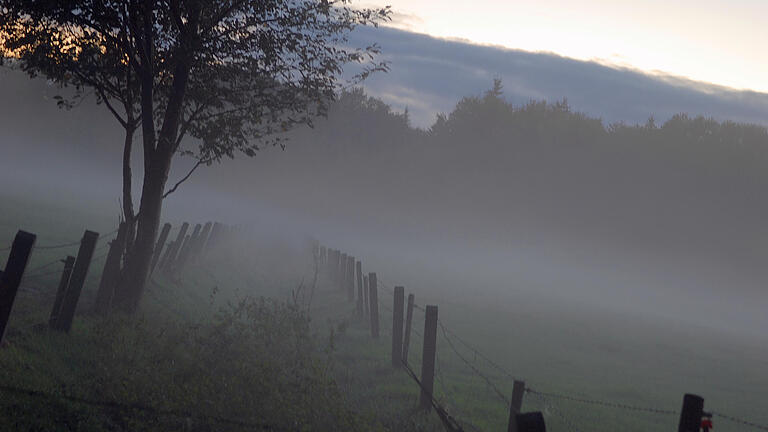 Foggy pathway in meadow