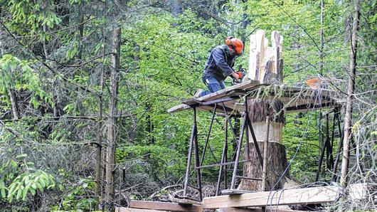 Bevor Rudolf Schneidmadel aus Ebelsbach an die Arbeit gehen konnte, brauchte sein Baum erst ein Gerüst mit Arbeitspodest &ndash; jetzt setzt er seine Vorstellung einer Steigerwald-Sage um.