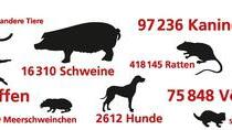 Simuliertes Leben