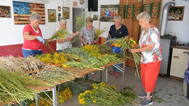 Am Samstag, 14. August, banden 15 Frauen aus Großbardorf traditionell etwa 60 bis 70 Würzbüschel. Zuvor hatten sie etwa 20 verschiedene Kräuter und Blumen gesammelt und zu Hilde Ziegler gebracht. Bei ihr werden seit vielen Jahren schon die Würzbüschel gebunden, unter anderem Beifuß, Goldrute, Wermut, Blutströpfchen, Rainfarn, verschiedene Getreidearten, Oregano, Dill, Johanniskraut, Königskerze, Klette (Baddellaus) wilde Möhre, Mohn, Sonnenblumen, Ringelblumen, Bohnenkraut, Wilde Karde, Kratzdistel. Am Sonntag, 15. August, um 10 Uhr segnete Pfarrer Benjamin Pereira in der Pfarrkirche St. Margareta in Großbardorf die Würzbüschel, die die Gottesdienstbesucher nach dem Festgottesdienst gegen eine Spende mit nach Hause nehmen konnten. Der Erlös der Aktion wird der Pfarrgemeinde Großbardorf zur Verfügung gestellt. Auf dem Foto Frauen des ehemaligen Frauenkreises beim Würzbüschel binden.