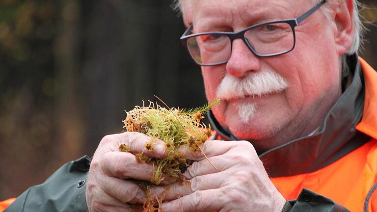 Wolfram Zeller, Leiter des Forstbetriebs Bad Brückenau der Bayerischen Staatsforsten, demonstriert den Wassergehalt von Torfmoosen. Foto: Ulrike Müller       -  Wolfram Zeller, Leiter des Forstbetriebs Bad Brückenau der Bayerischen Staatsforsten, demonstriert den Wassergehalt von Torfmoosen. Foto: Ulrike Müller