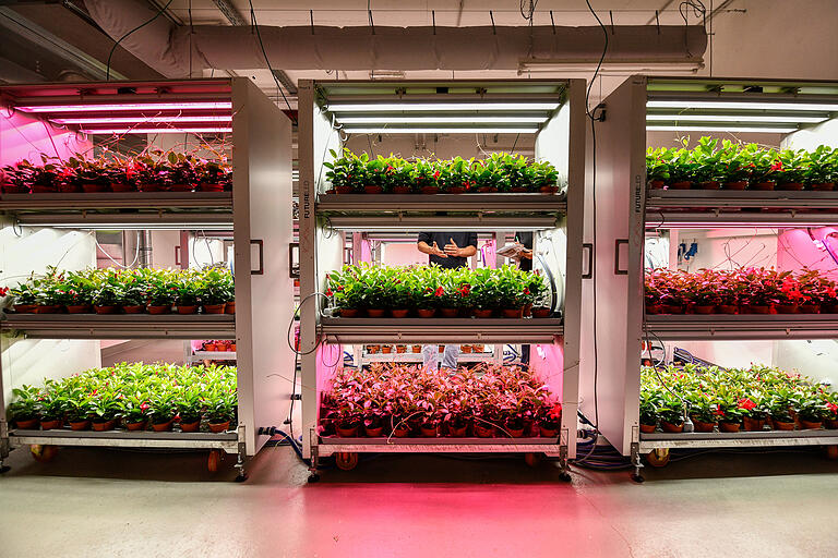 Ziel des Vertical Farmings: Platzsparende Pflanzenaufzucht mit möglichst wenig Energie, Wasserverbrauch und Schädlingsbekämpfungsmitteln. Ziel des Vertical Farmings: Platzsparende Pflanzenaufzucht mit möglichst wenig Energie, Wasserverbrauch und Schädlingsbekämpfungsmitteln.