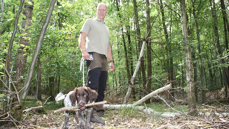 In Waldabschnitten wie diesen, wo unterschiedliche Baumsorten wachsen, möchte Förster Jochen Schenk im Gemeinsamen Bürgerwald Gerolzhofen-Dingolshausen künftig verstärkt Selbstwerber Brennholz einschlagen lassen. Er sieht darin den Vorteil, die notwendige Waldpflege voranzubringen und Bäumen Raum zu schaffen, die mit dem Klimawandel zurecht kommen.