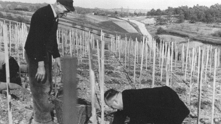 Pfarrer Ludwig Kempf unterstreicht die enge Verbindung zwischen Kirche, Gemeinde und Weinbau bei der Pflanzung der letzten Weinrebe anlässlich der ersten Weinbergsumlegung Bayerns in Erlenbach 1955. Winzer Hubert Fischer daneben. Pfarrer Ludwig Kempf unterstreicht die enge Verbindung zwischen Kirche, Gemeinde und Weinbau bei der Pflanzung der letzten Weinrebe anlässlich der ersten Weinbergsumlegung Bayerns in Erlenbach 1955. Winzer Hubert Fischer daneben.