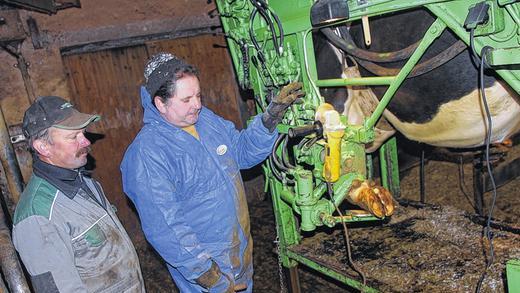 Hilfreiche Technik im Kuhstall: Während Kuh Alma, von Gurten gehalten, im vollhydraulischen Klauenpflegestand &bdquo;schwebt&ldquo;, werden ihre Hufe fixiert, so dass Peter Käb (rechts) gut an ihnen arbeiten kann. Bauer Franz-Josef Haupt holt Käbs Team zweimal pro Jahr auf seinen Willanzheimer Hof.