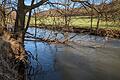 Ein Baum, der zwischen Bad Kissingen und Euerdorf in die Saale gefallen ist.       -  Ein Baum, der zwischen Bad Kissingen und Euerdorf in die Saale gefallen ist.