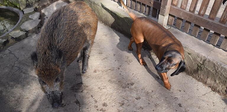 Beste Freunde: Fritzi und Ben.