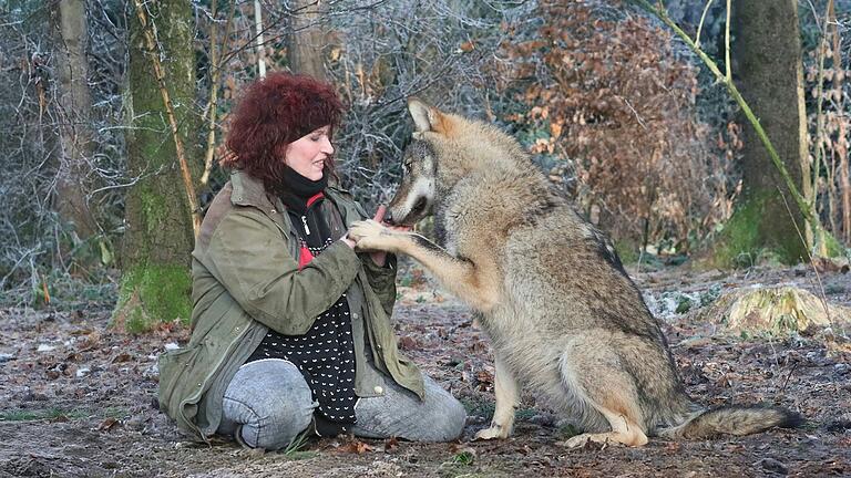 Zeit für einen Abschied: Nuka lebt inzwischen in einer Wolfsauffangstation in Belgien. Zeit für einen Abschied: Nuka lebt inzwischen in einer Wolfsauffangstation in Belgien. 