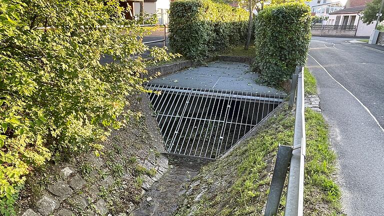Als vorbildlich bezeichnen Fachleute das Gitter, das in der Schulstraße bei einem Graben eingebaut wurde. Es hält Treibgut ab und verhindert eine Verstopfung der Rohre.