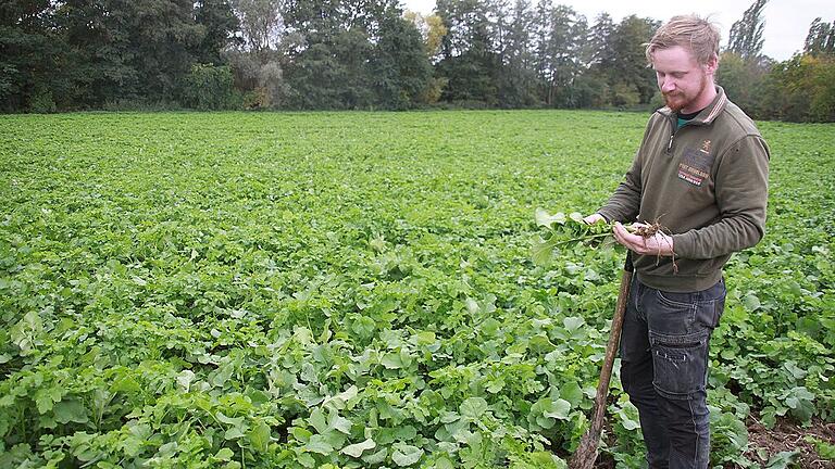 Er ist gerne Landwirt, die jüngsten Entwicklungen beunruhigen ihn allerdings: Simon Weckert auf seinem Feld bei Düllstadt, auf dem er zur Winterbegrünung Ölrettich anbaut.