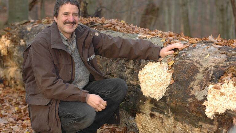 'Große Schutzgebiete können sogar kontraproduktiv sein', findet Ulrich Mergner, staatlicher Forstamtsleiter in Ebrach im Steigerwald.