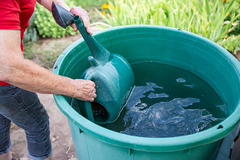 Dürreperioden folgen Zeiten mit Starkregen. Wer seinen Garten an den Klimawandel anpassen will, braucht ein kluges Bewässerungsmanagement