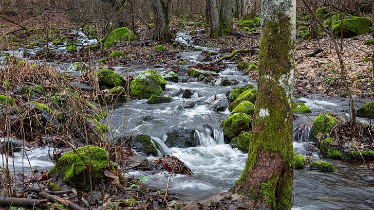 Unterwegs auf dem Franziskusweg in der Rhön, nahe der Thüringer Hütte: Man kommt an diesem Bach vorbei, dort kann man ein Ruhe dem Rauschen des Wassers zuhören.