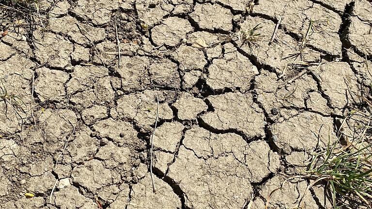 Hitze und Dürre haben Unterfranken auch in diesem Sommer im Griff – hier im Würzburger Stadtteil Heuchelhof im Juni 2023. Trotzdem bleibe die Söder-Regierung untätig, kritisieren die Grünen. Hitze und Dürre haben Unterfranken auch in diesem Sommer im Griff – hier im Würzburger Stadtteil Heuchelhof im Juni 2023. Trotzdem bleibe die Söder-Regierung untätig, kritisieren die Grünen.